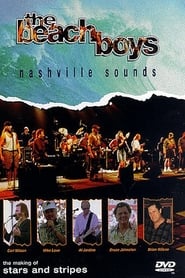 The Beach Boys Nashville Sounds' Poster