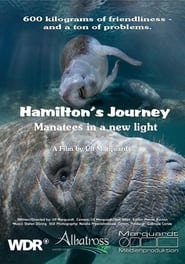 Hamiltons Journey Manatees in a New Light' Poster