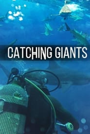 Catching Giants Zambezi Shark' Poster