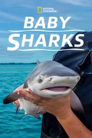 Baby Sharks' Poster