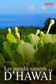 Hawaiis versteckte Paradiese' Poster