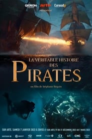The True Story of Pirates' Poster