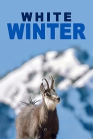 White Winter' Poster