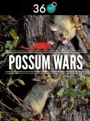 Possum Wars' Poster