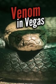 Venom in Vegas' Poster