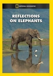 Reflections on Elephants' Poster