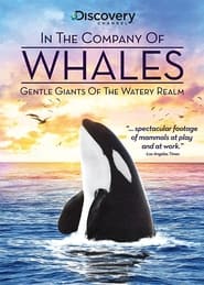 In the Company of Whales' Poster