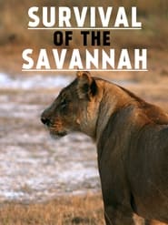 Survival on the savannah' Poster