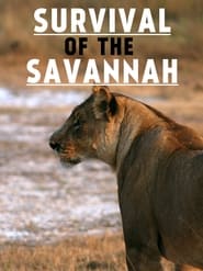 Survival on the Savannah' Poster