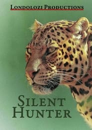 Silent Hunter' Poster