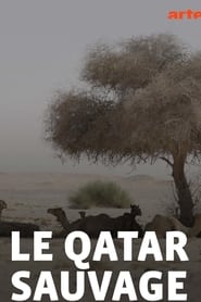 Wildes Katar' Poster