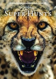 Super Hunts Super Hunters