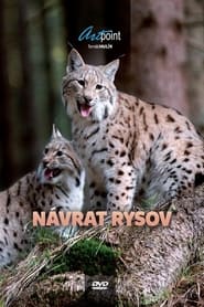 Nvrat rysov