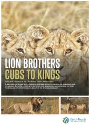 Lion Brothers Cubs to Kings' Poster