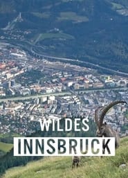 Wildes Innsbruck Zwischen Moderne und alpiner Wildnis' Poster