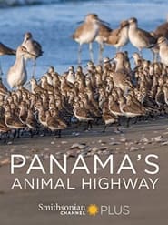 Panamas Animal Highway' Poster