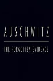 Auschwitz The Forgotten Evidence' Poster