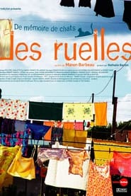 De mmoire de chats  Les ruelles' Poster