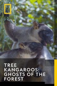 Tree Kangaroos Ghosts of the Forest' Poster