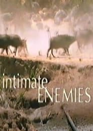 Intimate Enemies' Poster