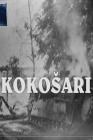 Kokosari' Poster