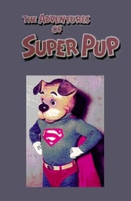 The Adventures of Superpup' Poster