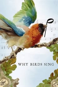 Why Birds Sing' Poster