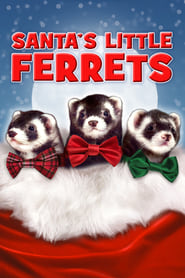 Santas Little Ferrets' Poster