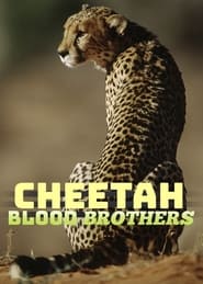 Cheetah Blood Brothers' Poster