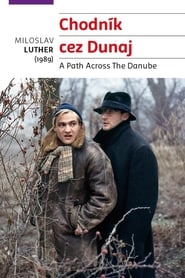 Chodnk cez Dunaj' Poster