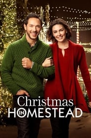 Christmas in Homestead' Poster