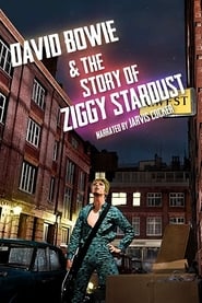 David Bowie  the Story of Ziggy Stardust' Poster