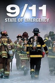 911 State of Emergency' Poster