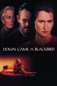 Down Came a Blackbird' Poster