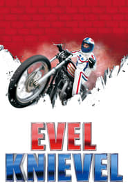 Evel Knievel' Poster