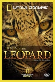 Eye of the Leopard' Poster