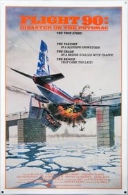 Flight 90 Disaster on the Potomac' Poster