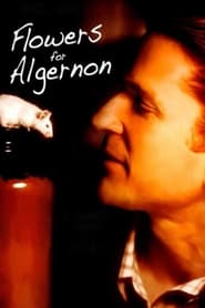 Streaming sources forFlowers for Algernon