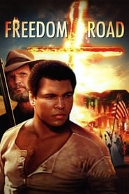 Freedom Road' Poster