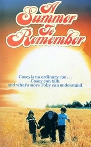 A Summer to Remember' Poster