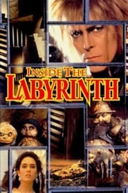 Inside the Labyrinth' Poster