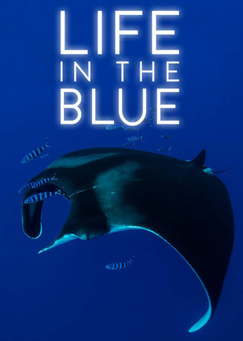 Life in the Blue Poster