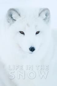 Life in the Snow' Poster