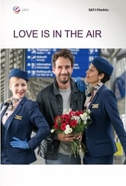 Love in the Skies' Poster