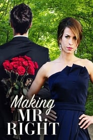 Making Mr Right' Poster