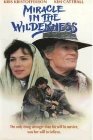 Miracle in the Wilderness' Poster