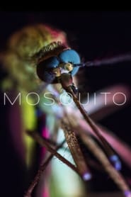 Mosquito' Poster