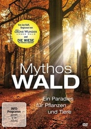 Mythos Wald' Poster