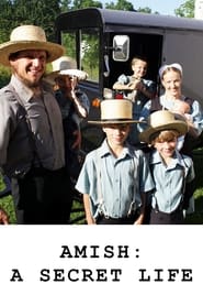 Amish A Secret Life' Poster
