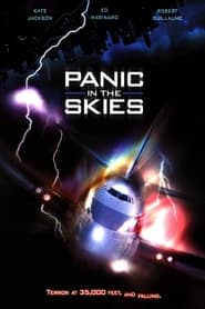Panic in the Skies' Poster